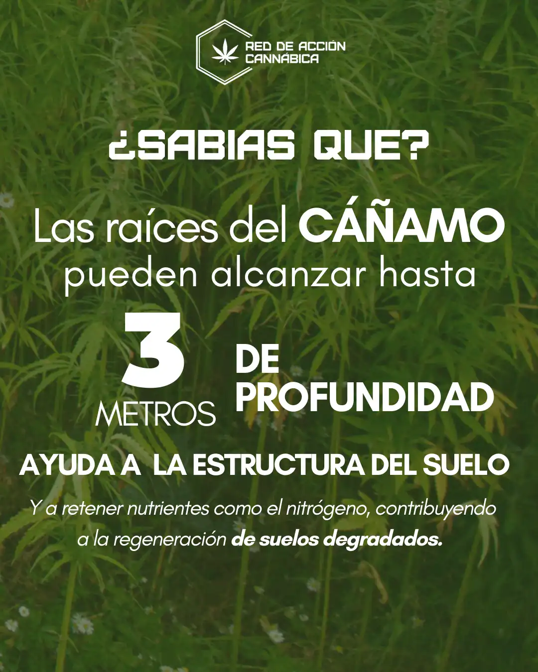 Publicación informativa REDCANN sobre la iniciativa popular normativa