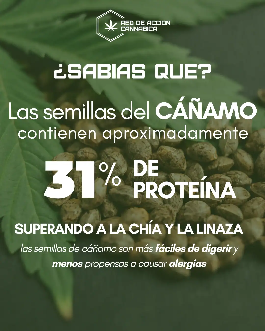 Publicación informativa REDCANN sobre seguridad y mercado ilegal del cannabis