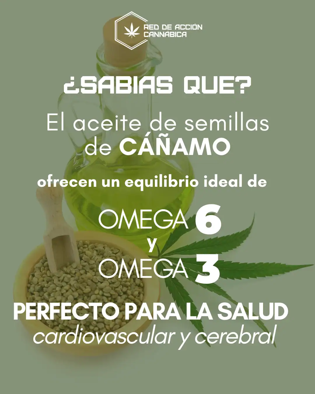 Publicación informativa REDCANN sobre regulación del cannabis en Ecuador